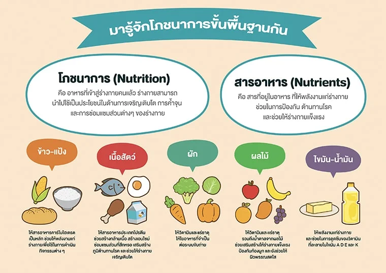1. หลักโภชนาการขั้นพื้นฐานที่เหมาะสมในแต่ละช่วงวัย