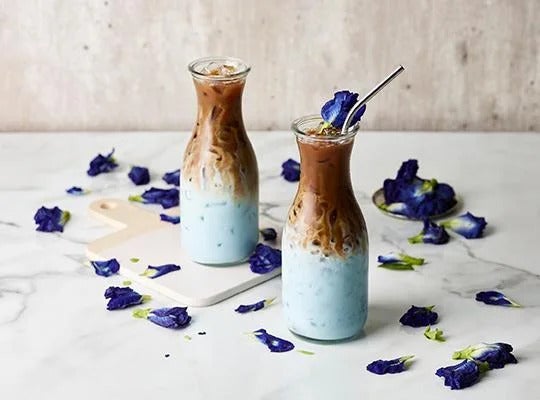 เนสกาแฟลาเต้ อัญชันเย็น