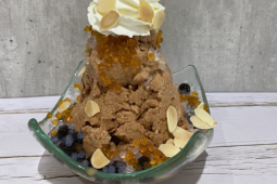 บิงซูชาไทย เนสที รอยัล เมนูอร่อย เหมาะสำหรับร้านอาหาร