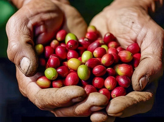 6 วิธีโปรโมทธุรกิจร้านกาแฟ-สร้างเรื่องราวเพิ่มมูลค่าให้กับร้าน